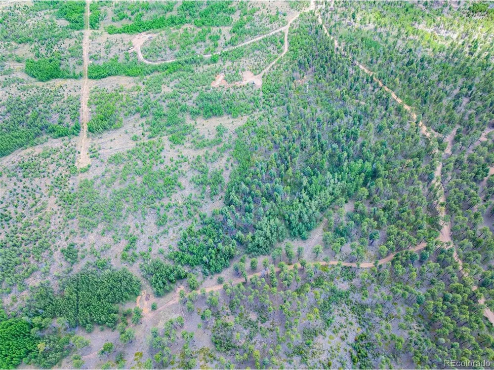 4 County Road 51 Florissant, CO 80816