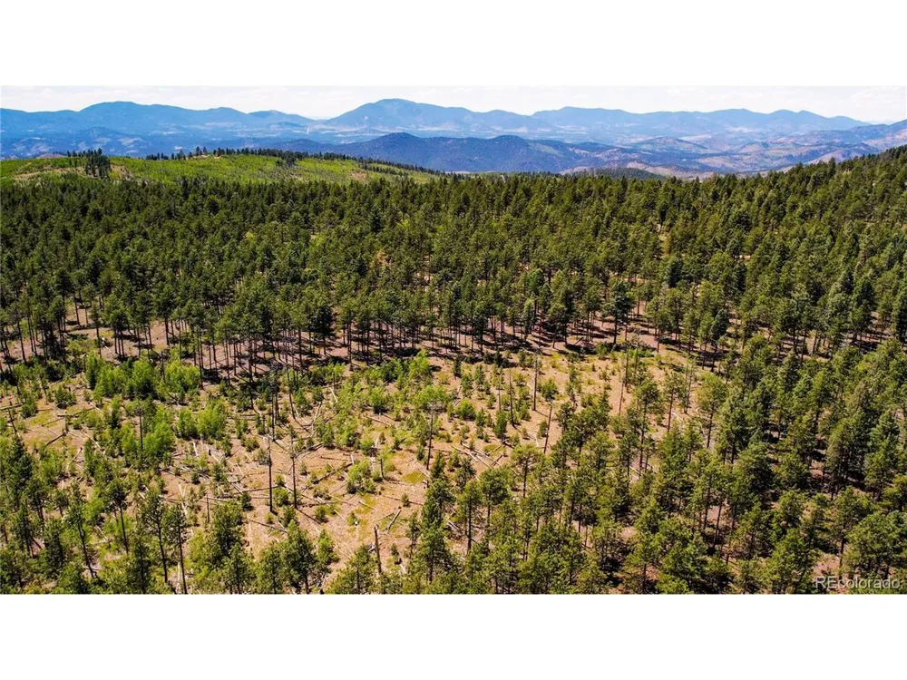4 County Road 51 Florissant, CO 80816