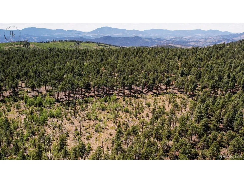 4 County Road 51 Florissant, CO 80816