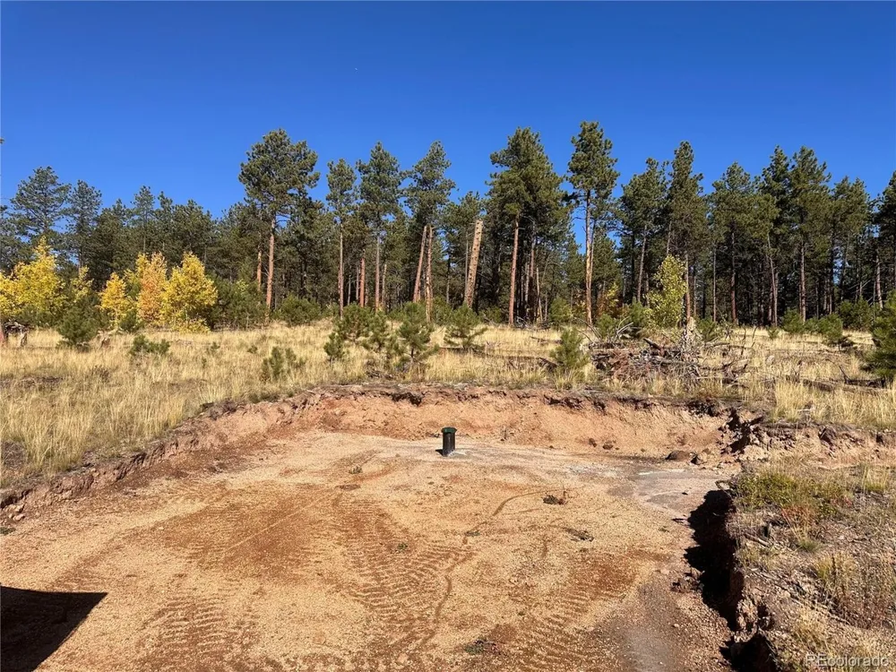 4 County Road 51 Florissant, CO 80816