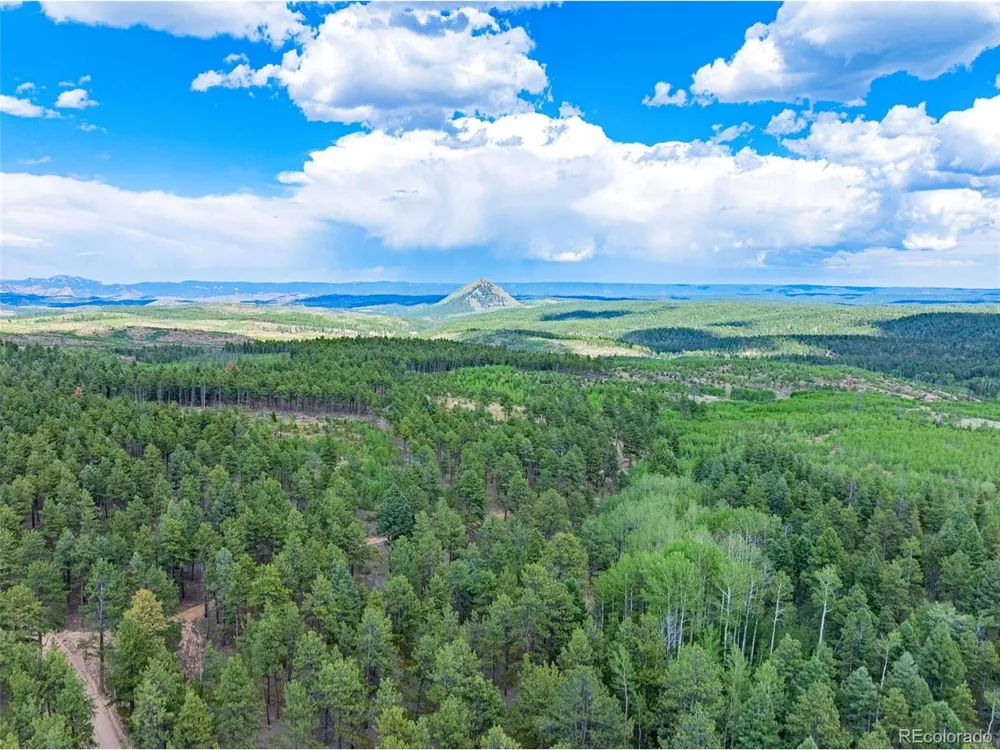 4 County Road 51 Florissant, CO 80816