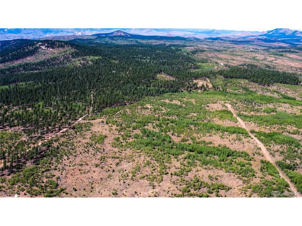 4 County Road 51 Florissant, CO 80816