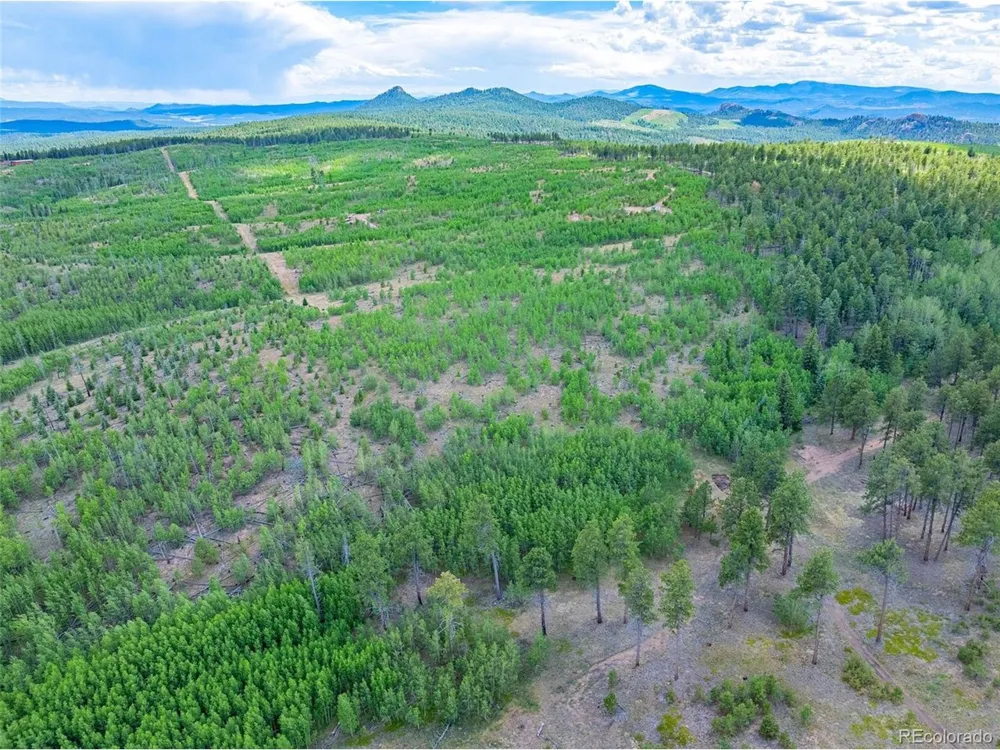 4 County Road 51 Florissant, CO 80816