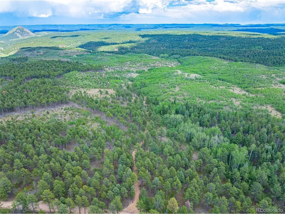 4 County Road 51 Florissant, CO 80816