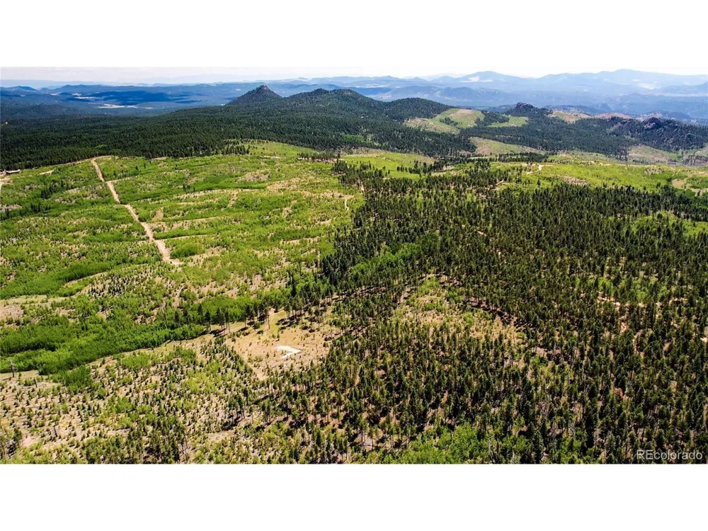 4 County Road 51 Florissant, CO 80816