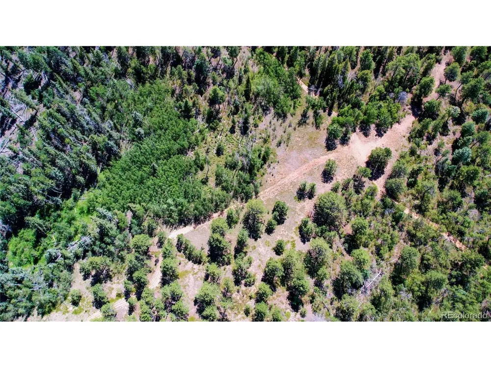 4 County Road 51 Florissant, CO 80816