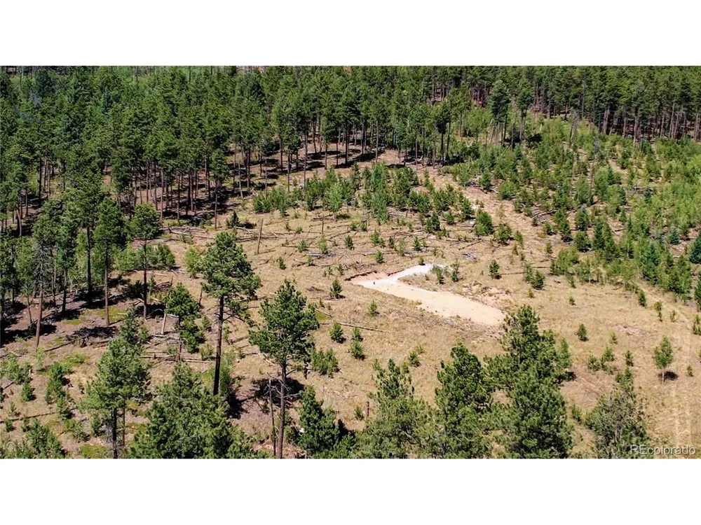 4 County Road 51 Florissant, CO 80816