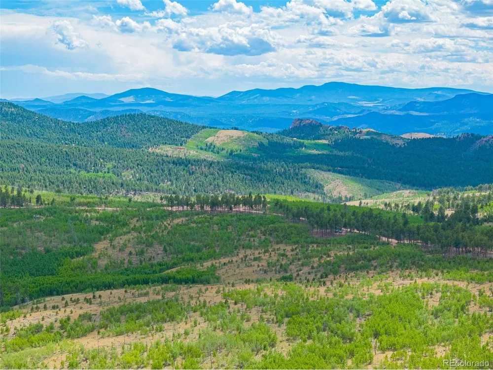 4 County Road 51 Florissant, CO 80816