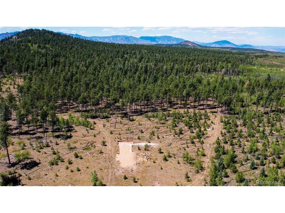 4 County Road 51 Florissant, CO 80816