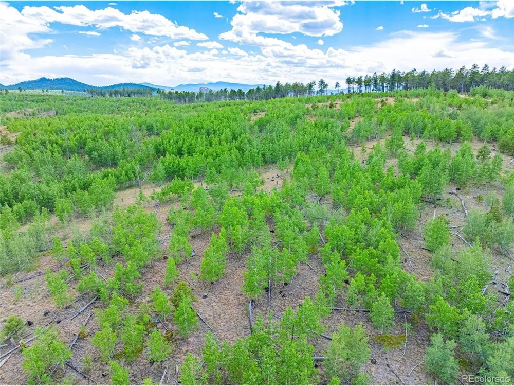 4 County Road 51 Florissant, CO 80816