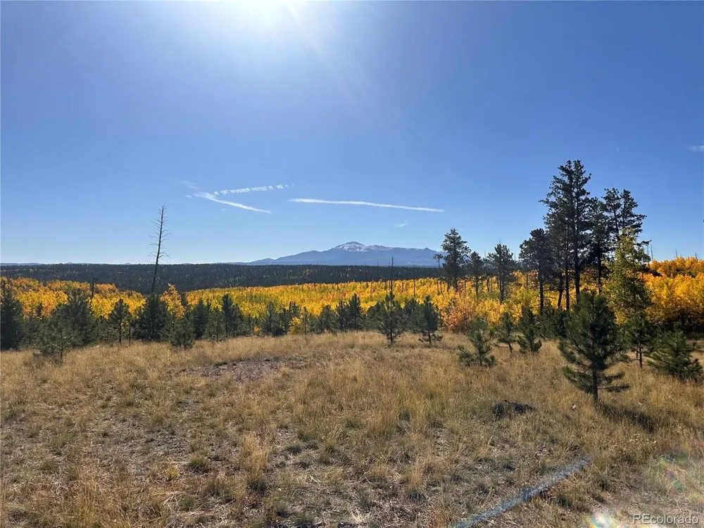 4 County Road 51 Florissant, CO 80816