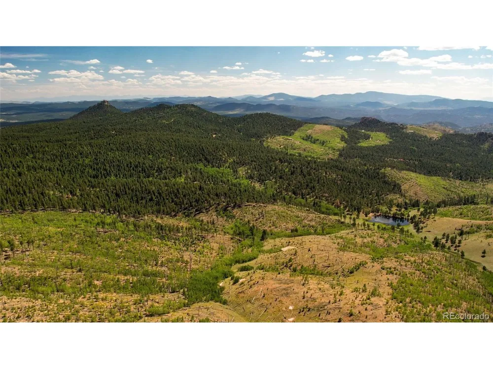 4 County Road 51 Florissant, CO 80816