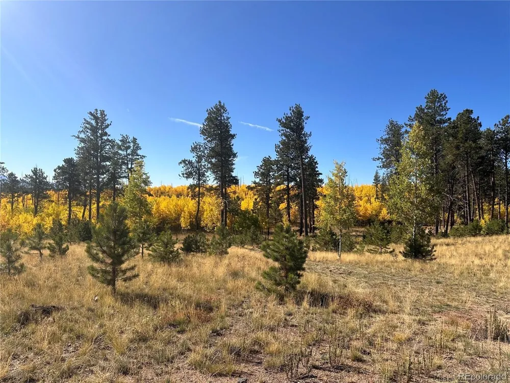 4 County Road 51 Florissant, CO 80816