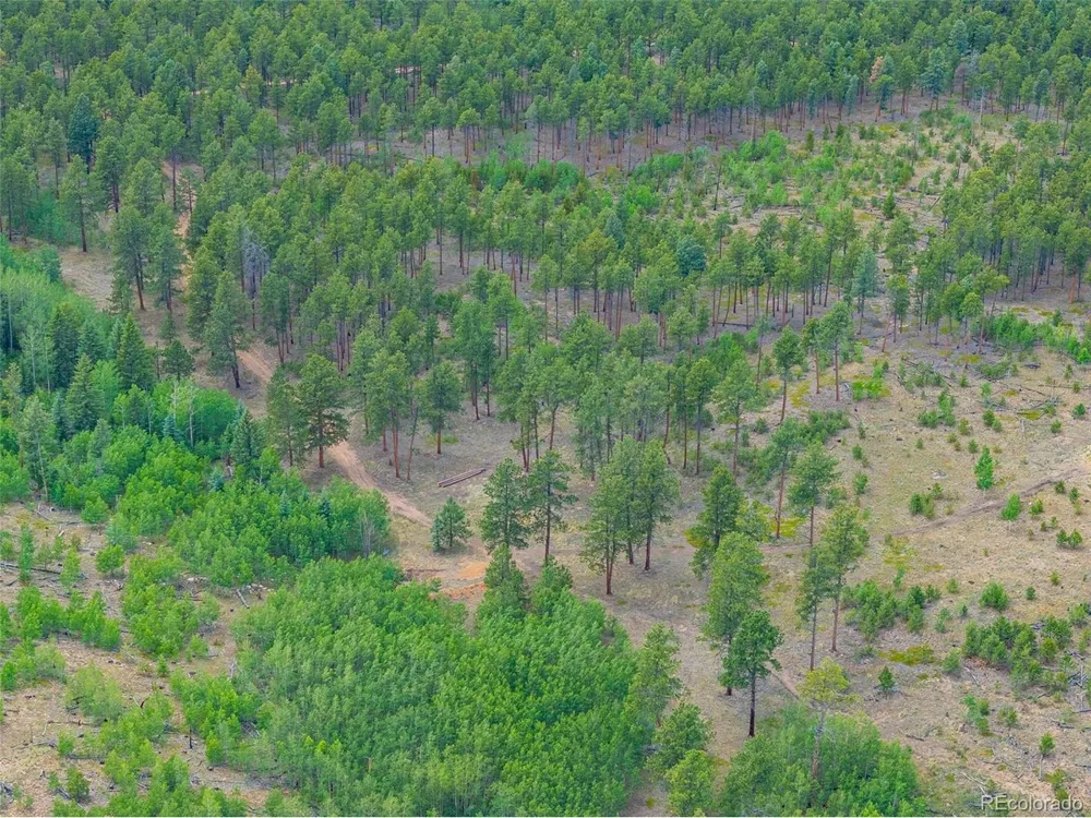 4 County Road 51 Florissant, CO 80816
