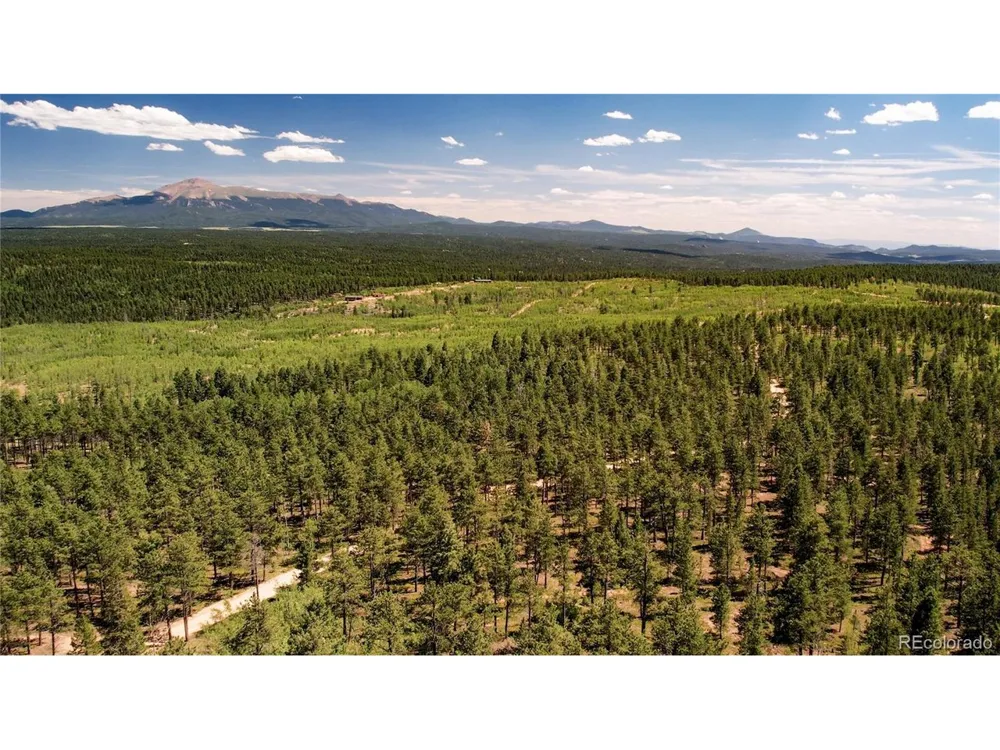 4 County Road 51 Florissant, CO 80816