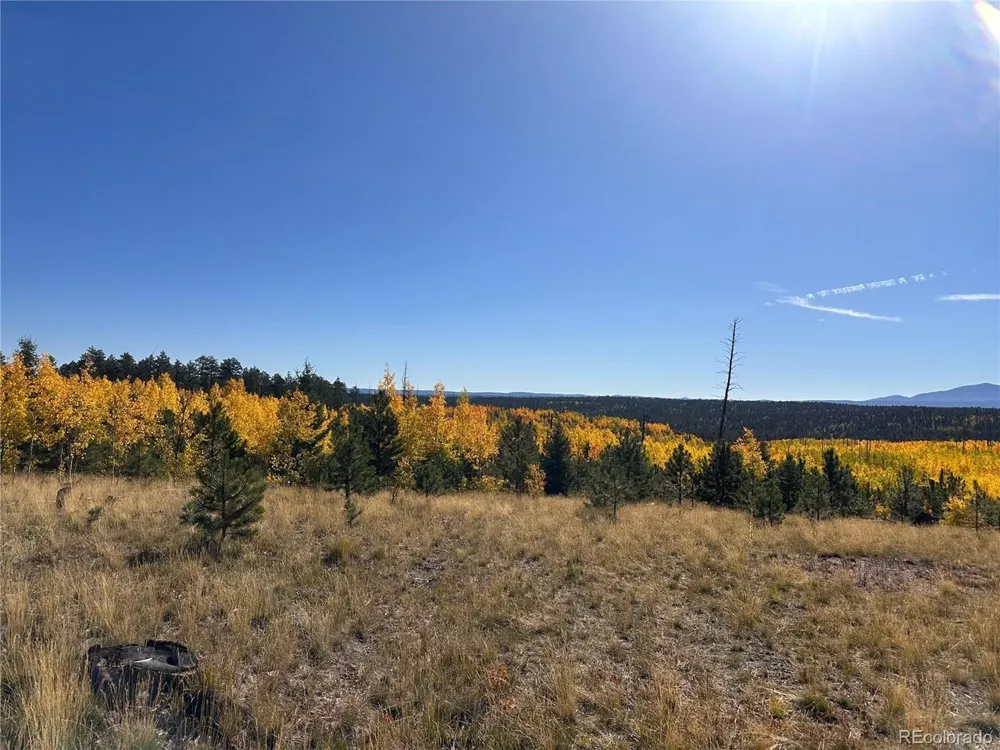 4 County Road 51 Florissant, CO 80816