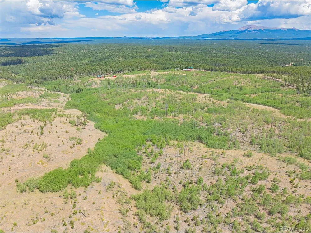 4 County Road 51 Florissant, CO 80816