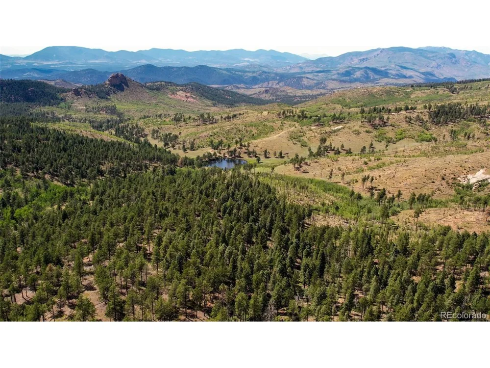 4 County Road 51 Florissant, CO 80816