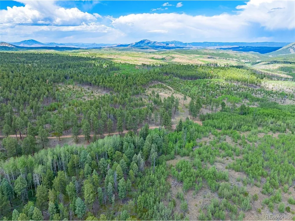 4 County Road 51 Florissant, CO 80816