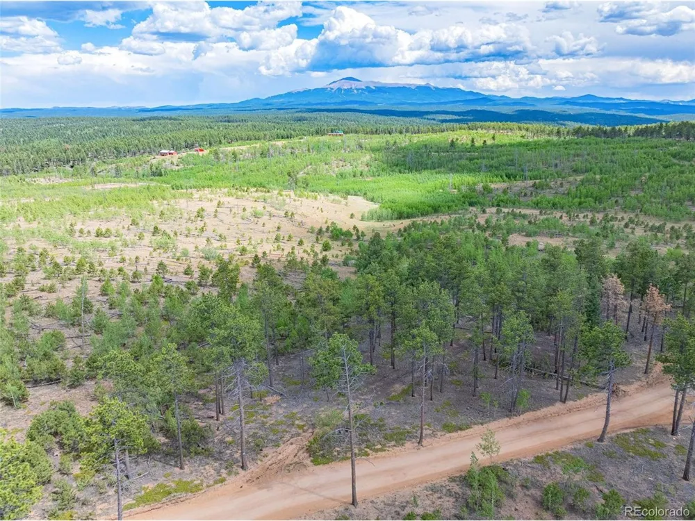 4 County Road 51 Florissant, CO 80816