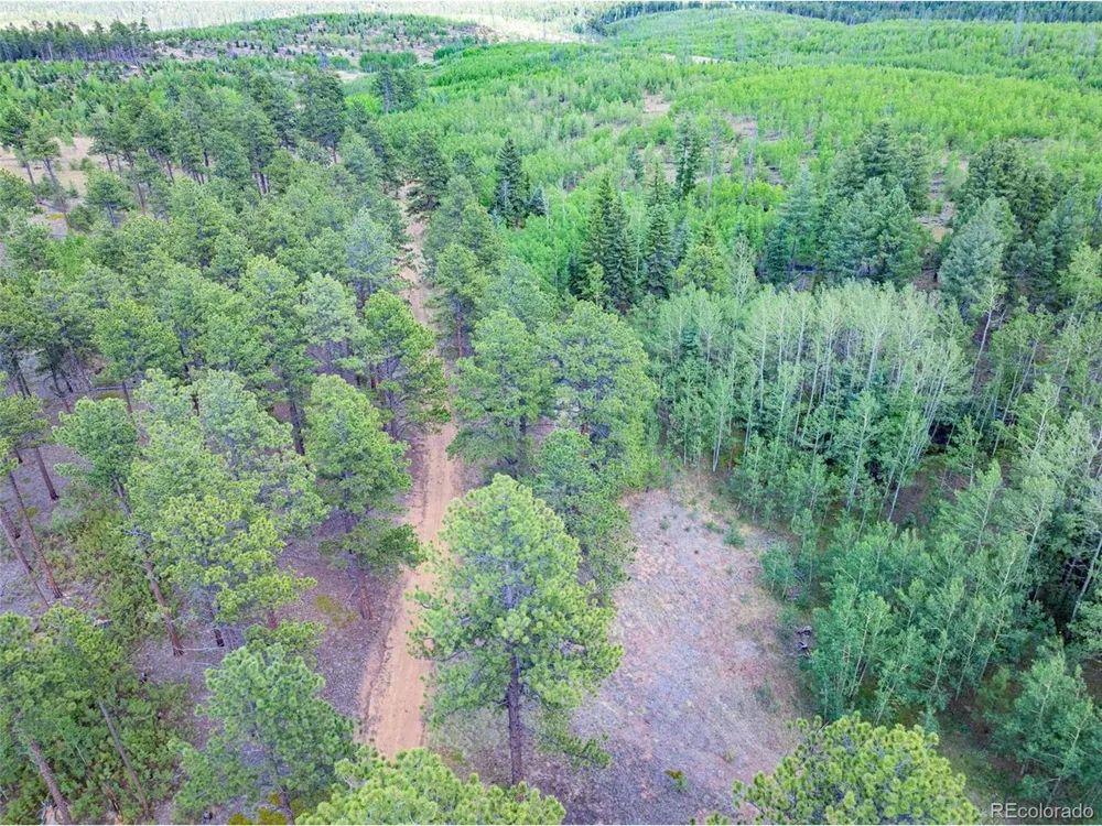 4 County Road 51 Florissant, CO 80816