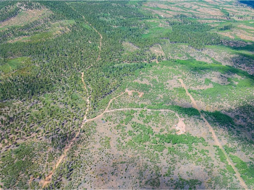 4 County Road 51 Florissant, CO 80816