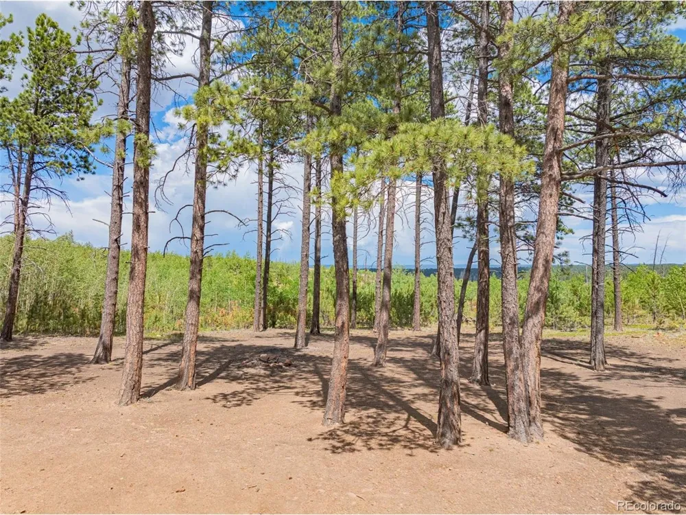 4 County Road 51 Florissant, CO 80816