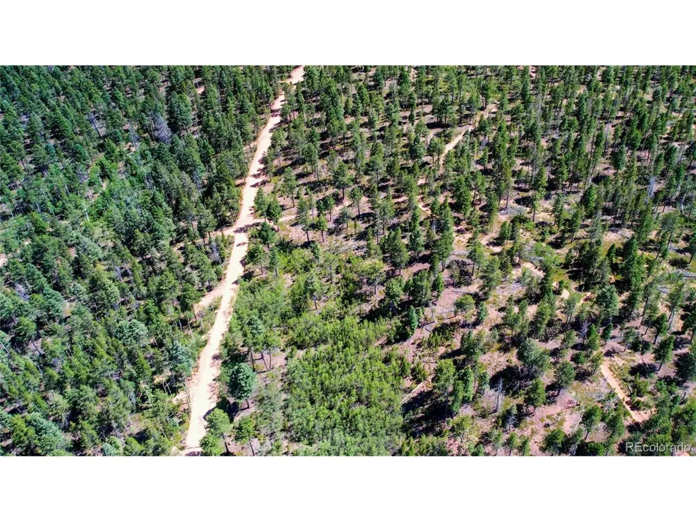 4 County Road 51 Florissant, CO 80816