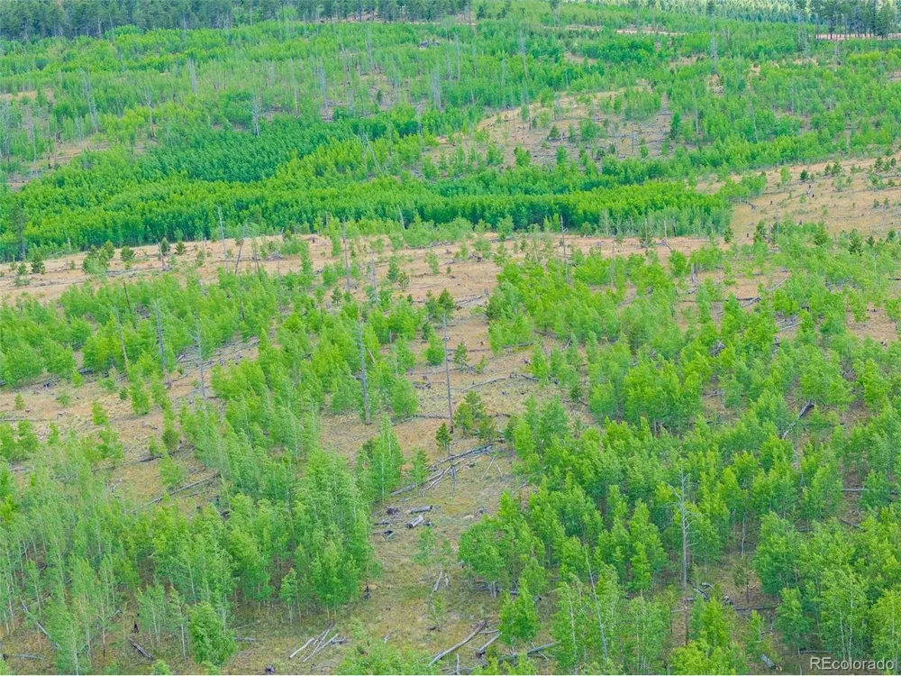 4 County Road 51 Florissant, CO 80816