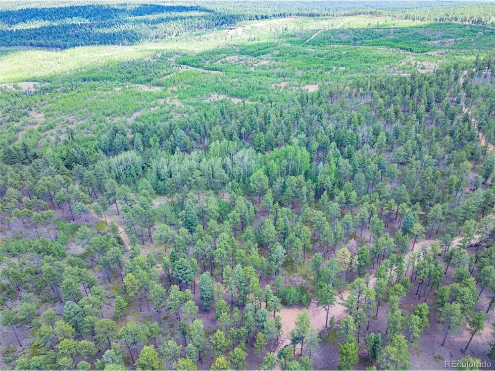 4 County Road 51 Florissant, CO 80816