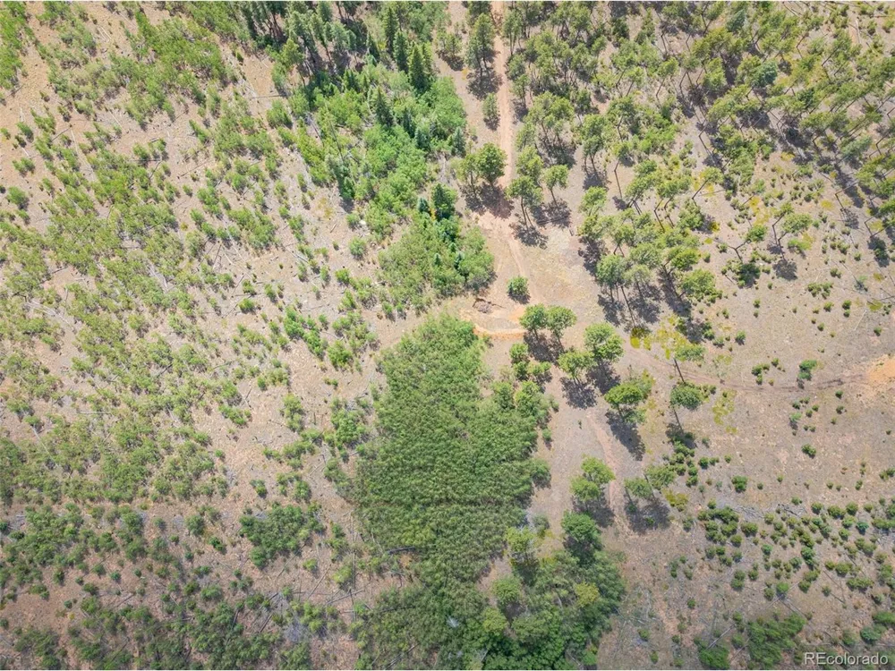 4 County Road 51 Florissant, CO 80816