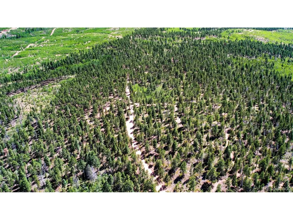 4 County Road 51 Florissant, CO 80816
