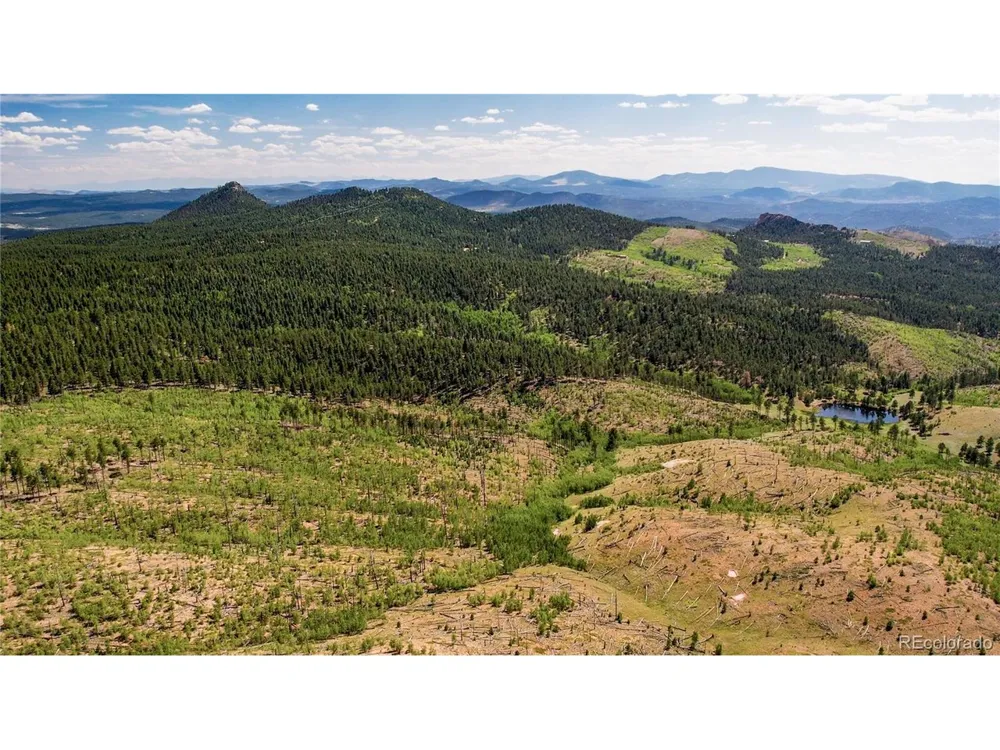 4 County Road 51 Florissant, CO 80816