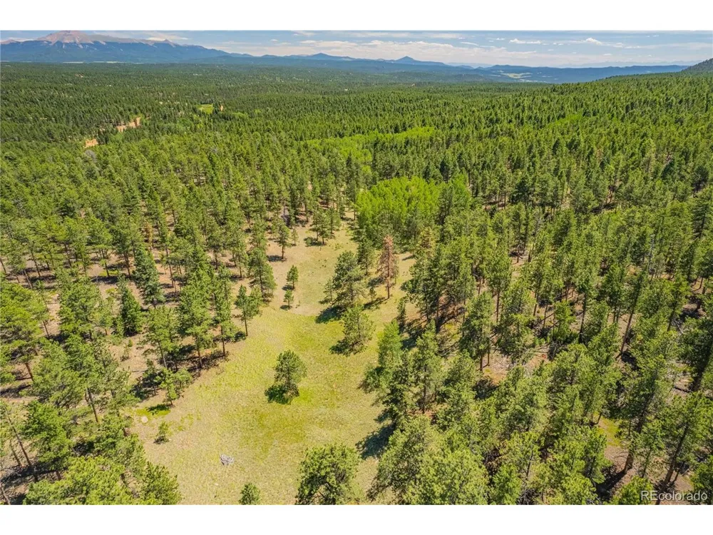 4 County Road 51 Florissant, CO 80816