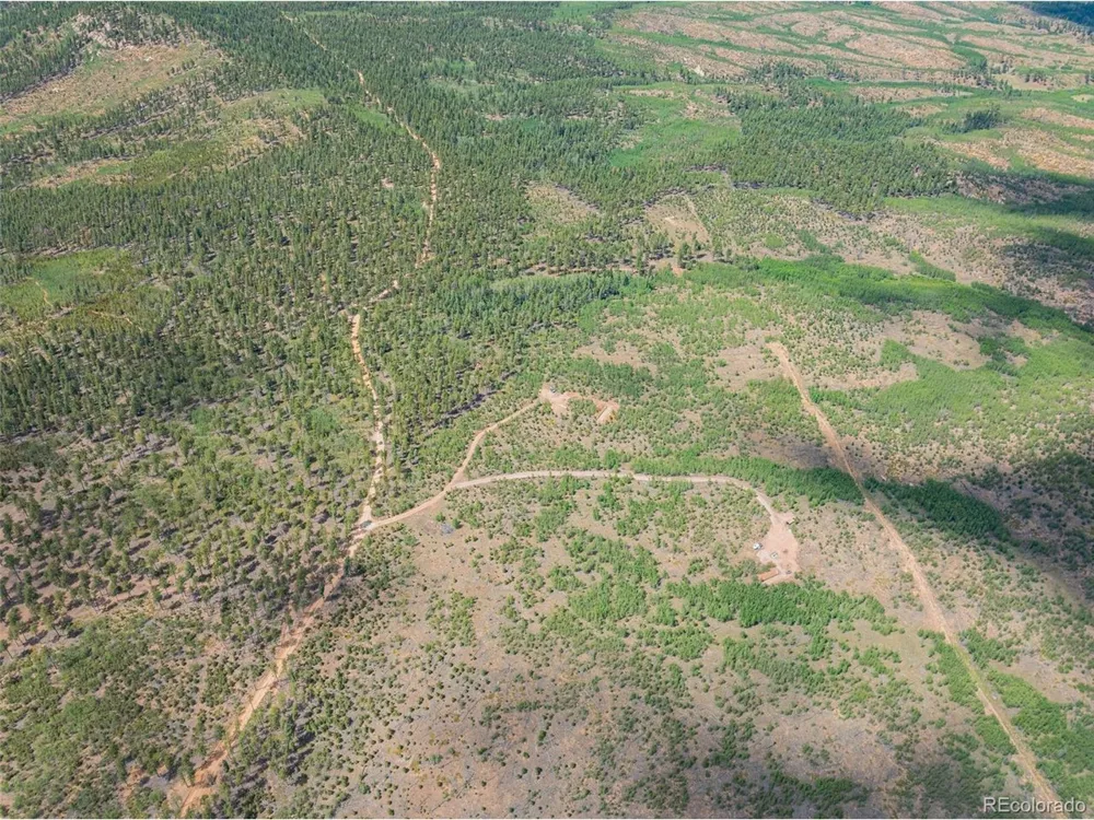 4 County Road 51 Florissant, CO 80816