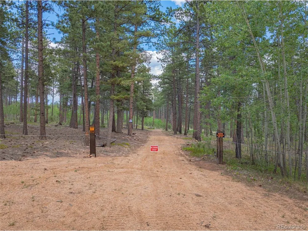 4 County Road 51 Florissant, CO 80816