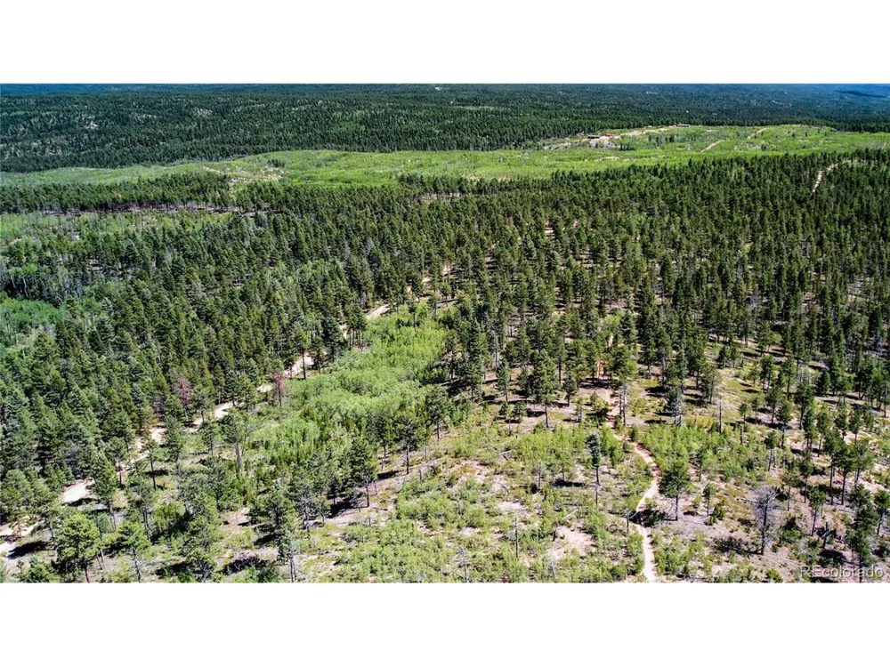 4 County Road 51 Florissant, CO 80816