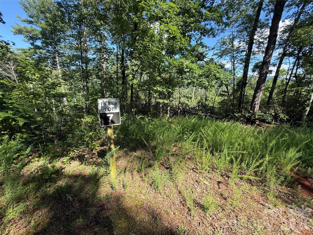 999 Fox Ridge Trail #7 Marion, NC 28752