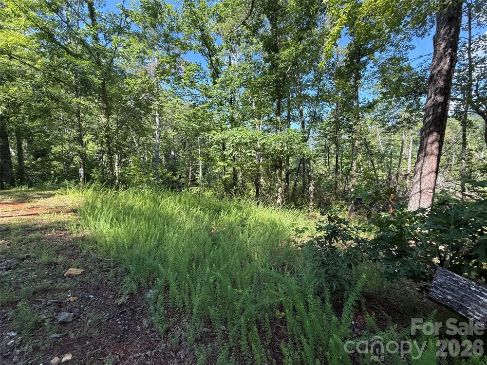 999 Fox Ridge Trail #7 Marion, NC 28752