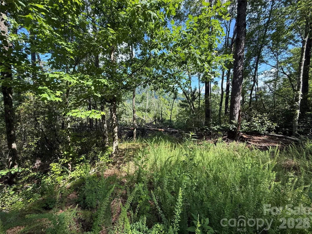 999 Fox Ridge Trail #7 Marion, NC 28752
