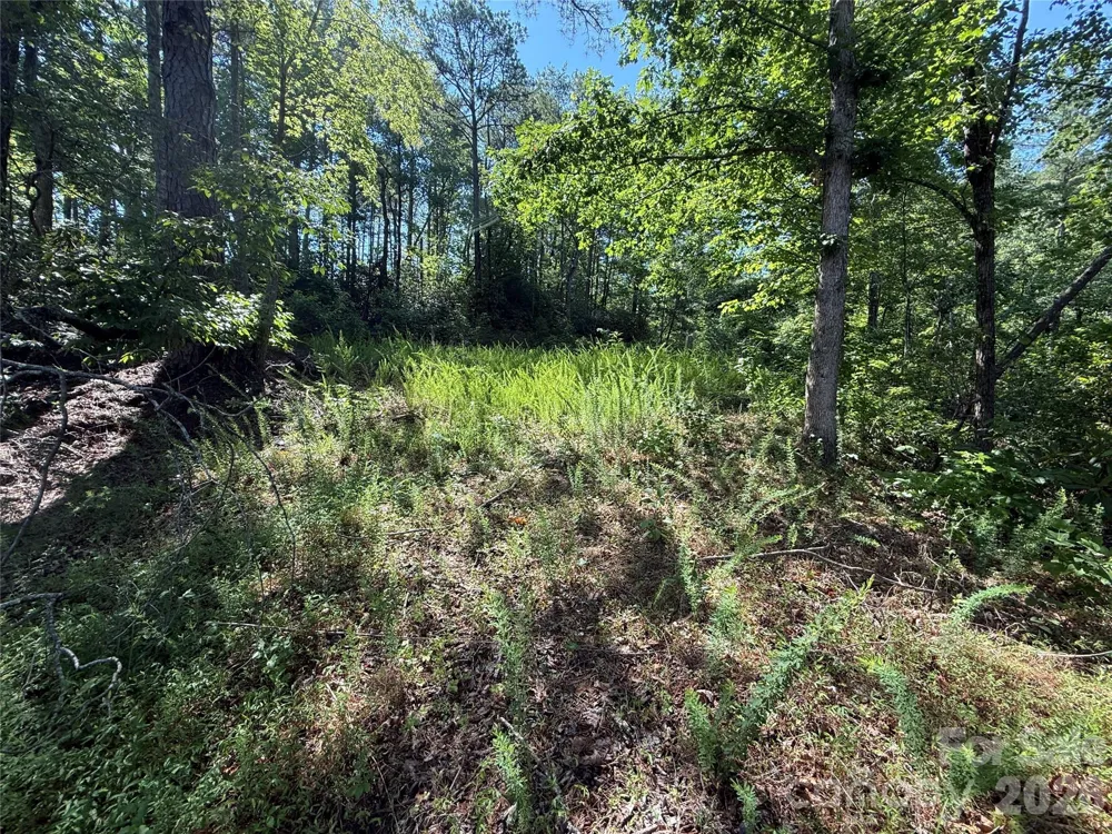 999 Fox Ridge Trail #7 Marion, NC 28752