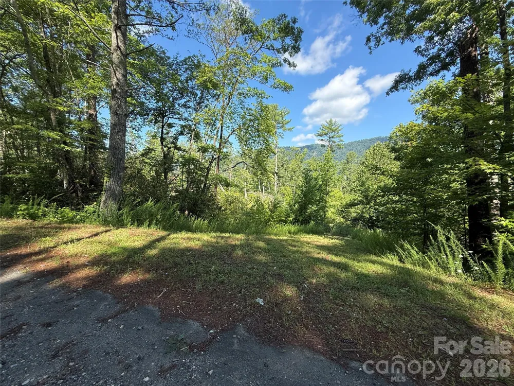 999 Fox Ridge Trail #7 Marion, NC 28752