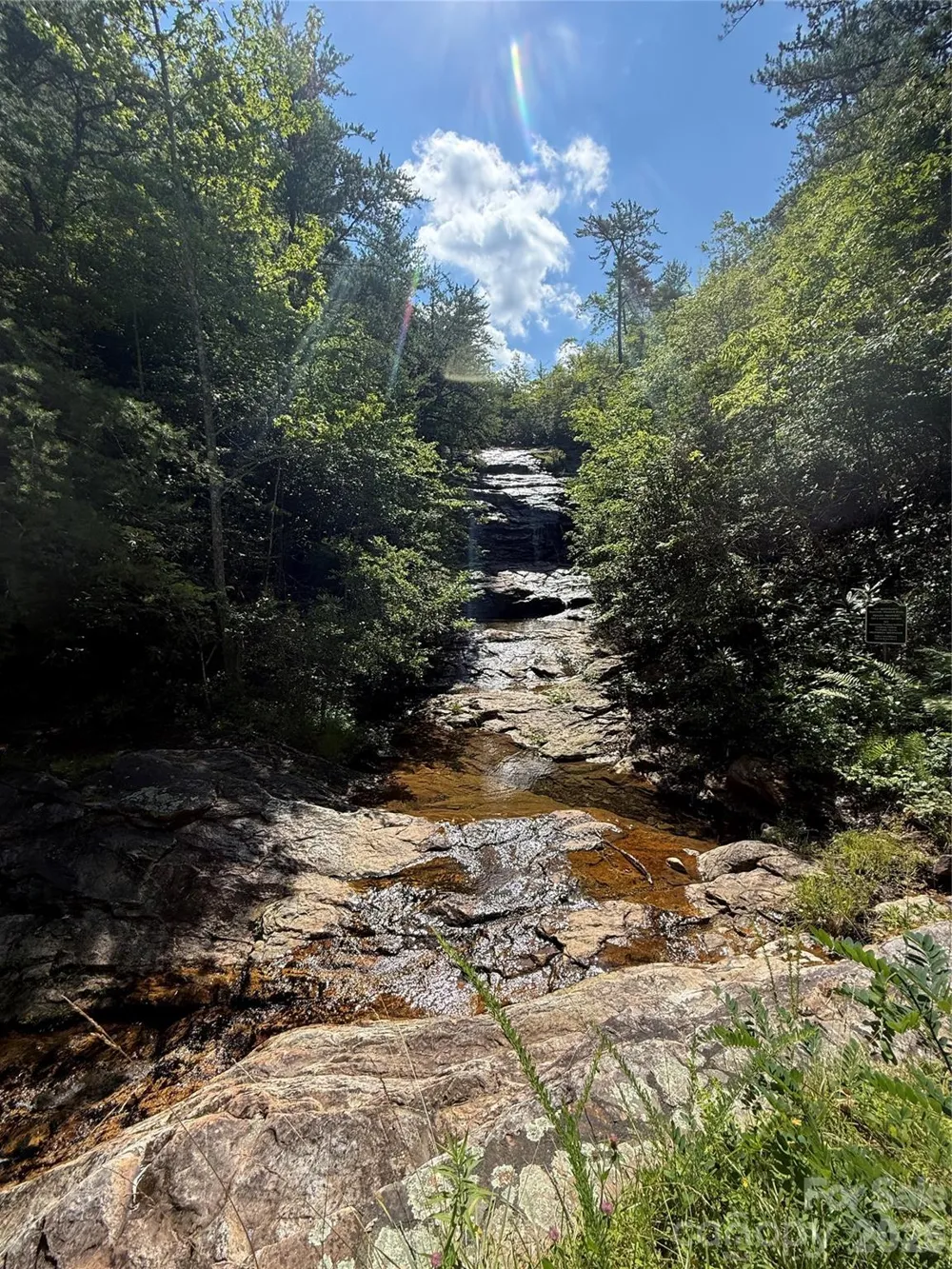999 Fox Ridge Trail #7 Marion, NC 28752