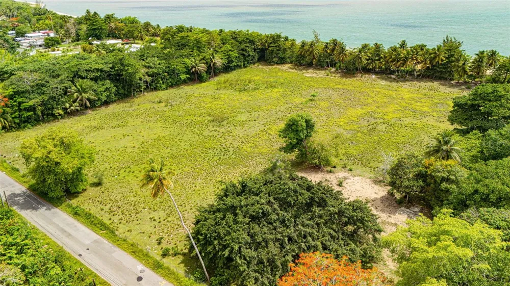 COMM. PLAYA, CARR. 401 KM. HM 1.9 Anasco, PR 00610