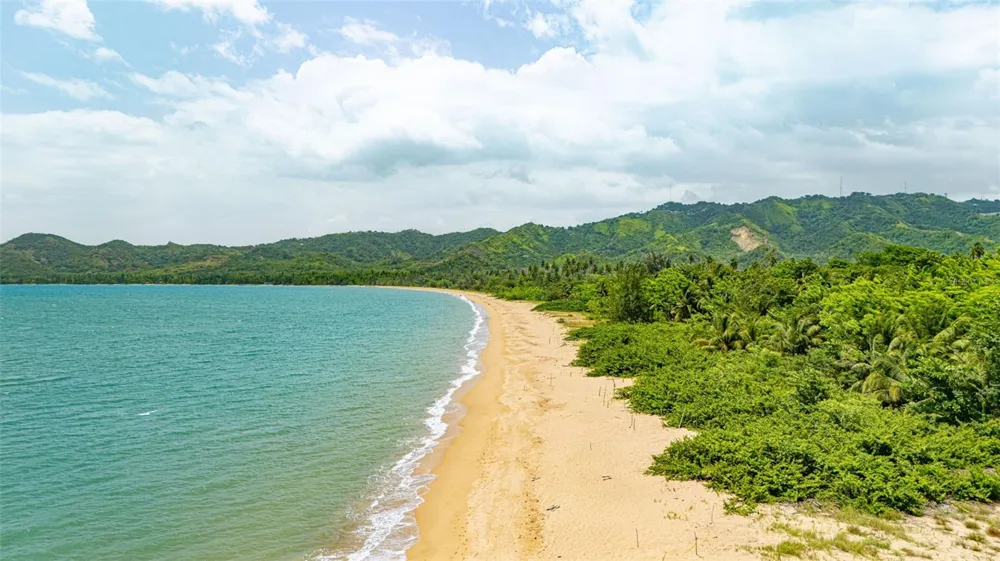COMM. PLAYA, CARR. 401 KM. HM 1.9 Anasco, PR 00610