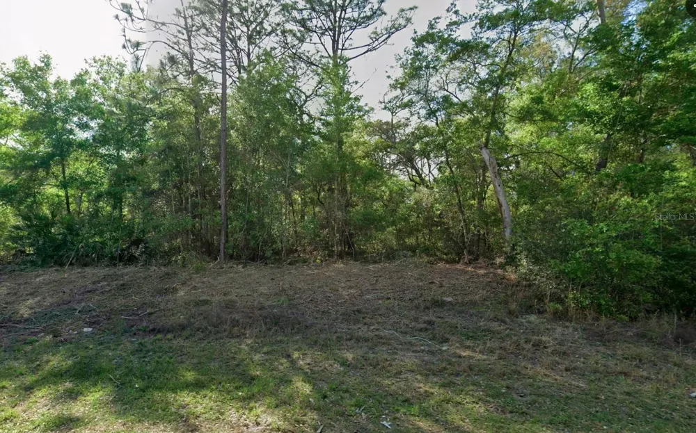 10814 HATARI DRIVE Citrus Springs, FL 34434