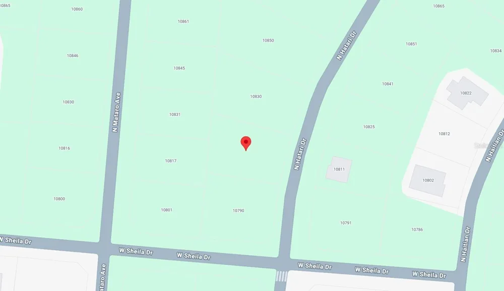 10814 HATARI DRIVE Citrus Springs, FL 34434