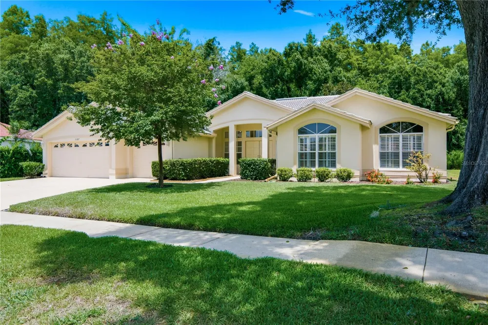 3187 STERLING STREET Tarpon Springs, FL 34688