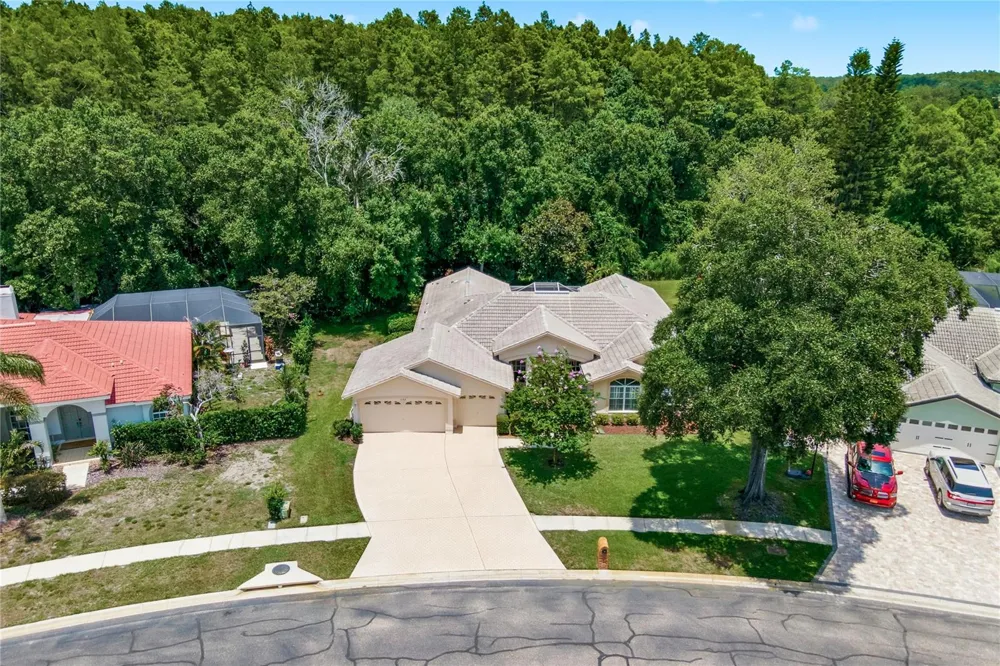 3187 STERLING STREET Tarpon Springs, FL 34688