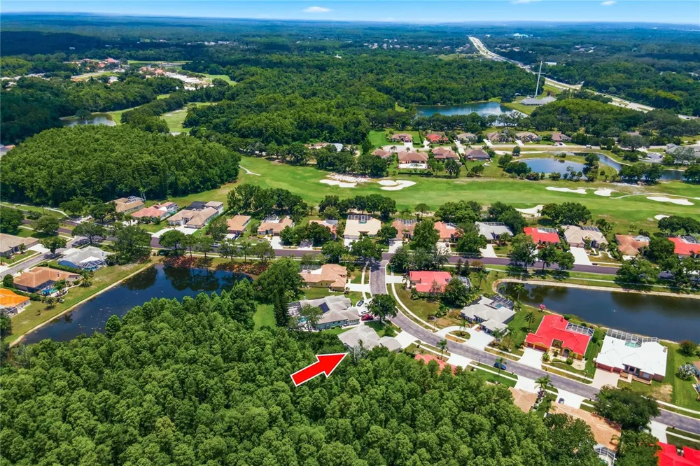 3187 STERLING STREET Tarpon Springs, FL 34688